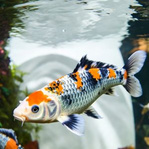 Home professional pinstripe blazer