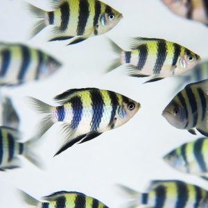 Home weekend wanderlust wardrobe