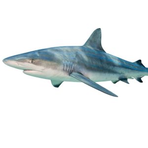 Home timeless classic collection