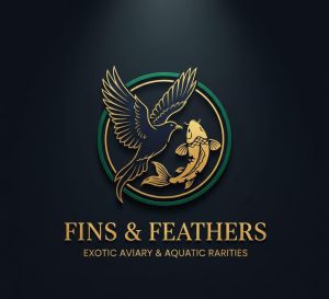 whatsapp image 2026 03 10 at 4.17.32 am