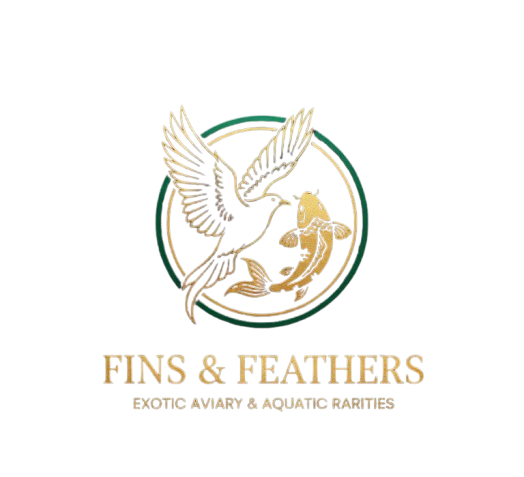 whatsapp image 2026 03 10 at 4.17.32 am removebg preview